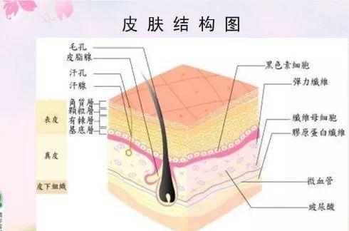 吳越學校2019新課程發(fā)布會重磅來襲！速來圍觀！